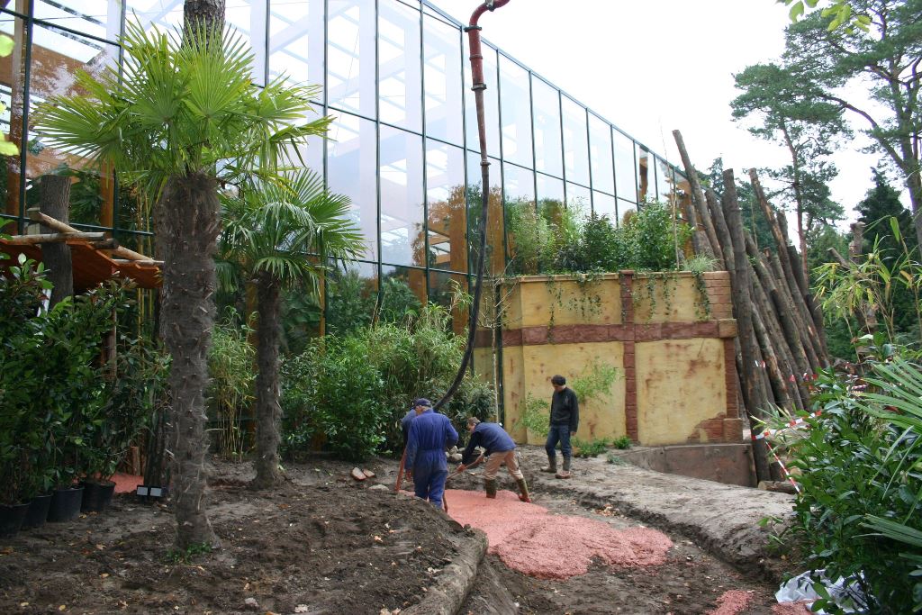 beton storten in Dierentuin Amersfoort